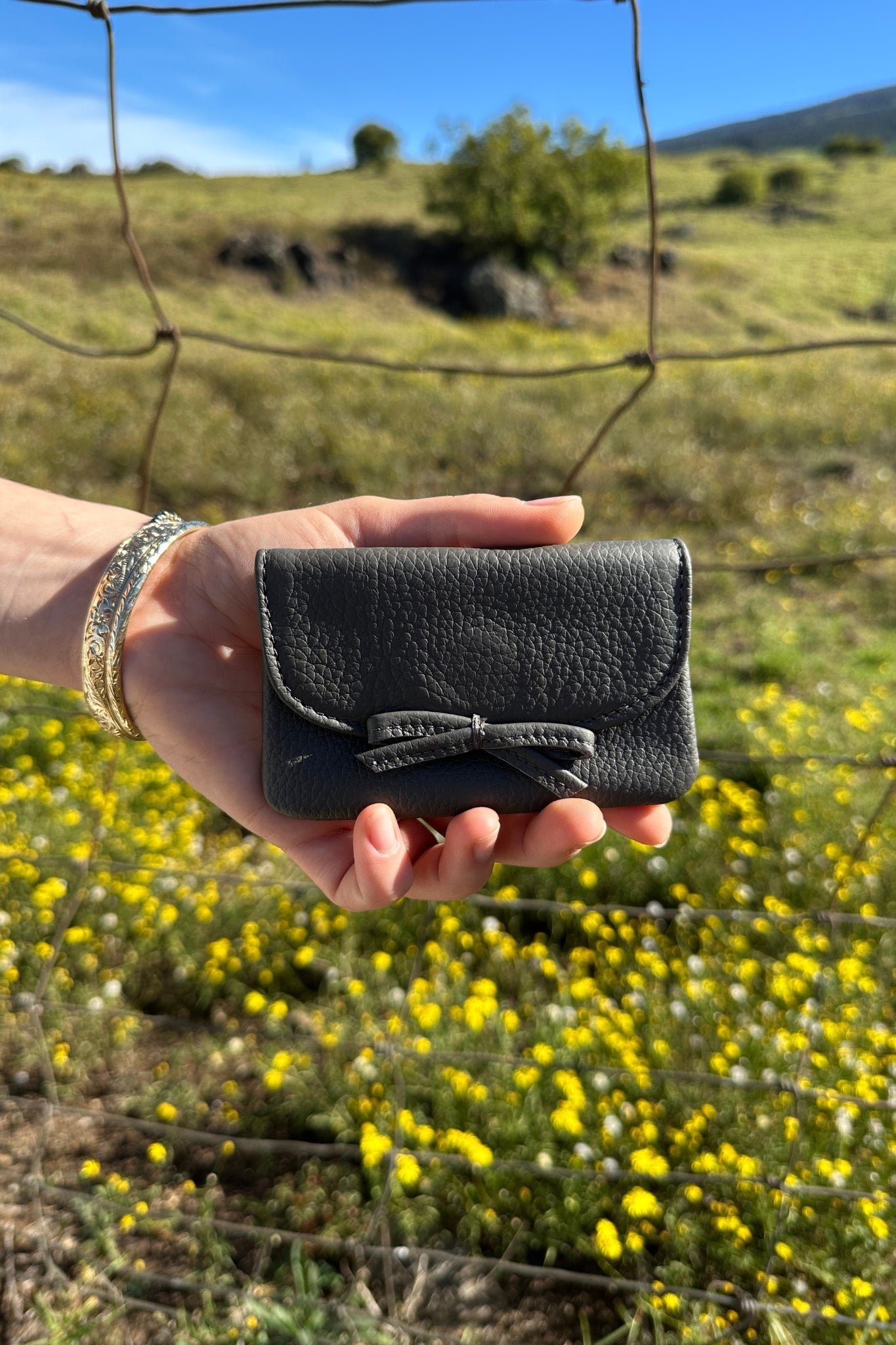 Petite Case - 图片 3